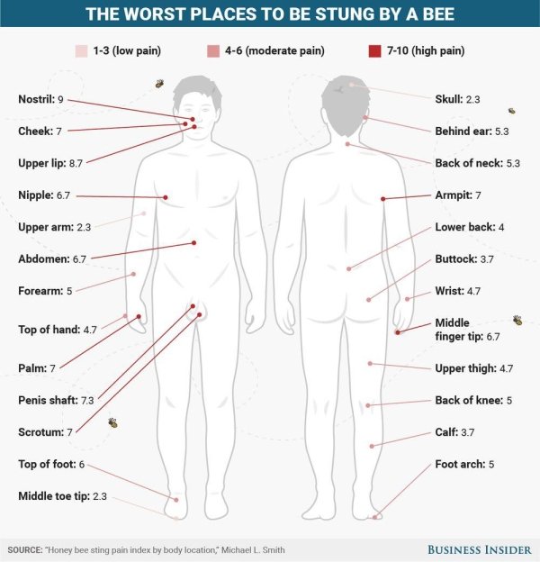 interestingdata5_008