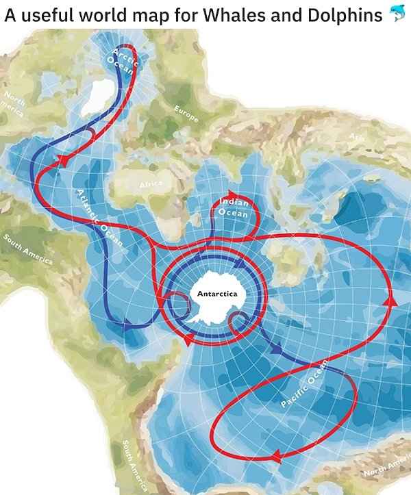 interestingdata5_017