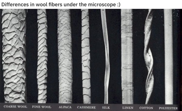 interestingdata5_020