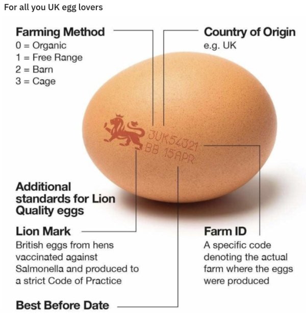 interestingdata5_022