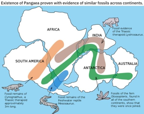 interestingdata5_024