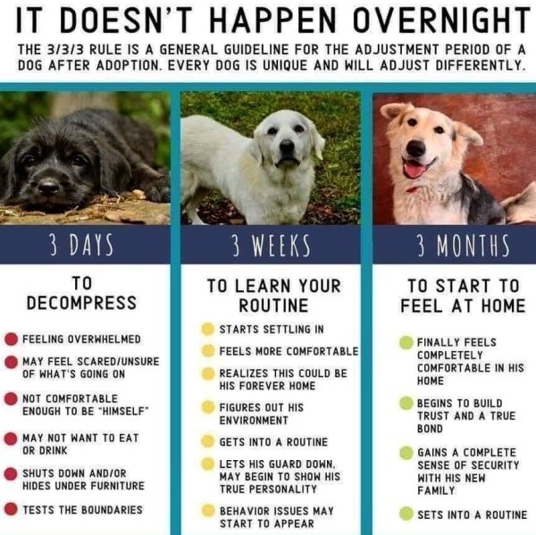 interestingdata5_030