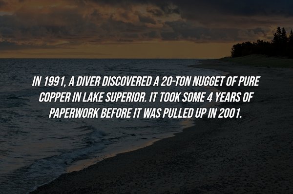 interestingfacts6_001