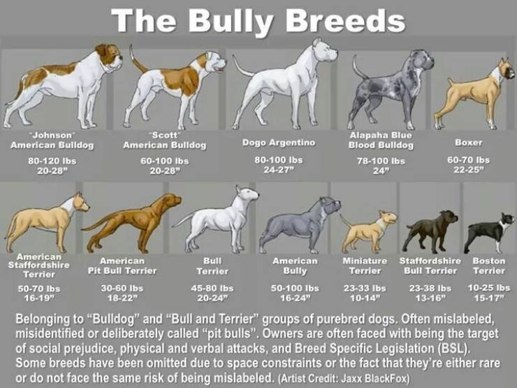 interestingfacts6_019