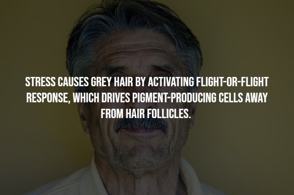 interestingfacts7_001