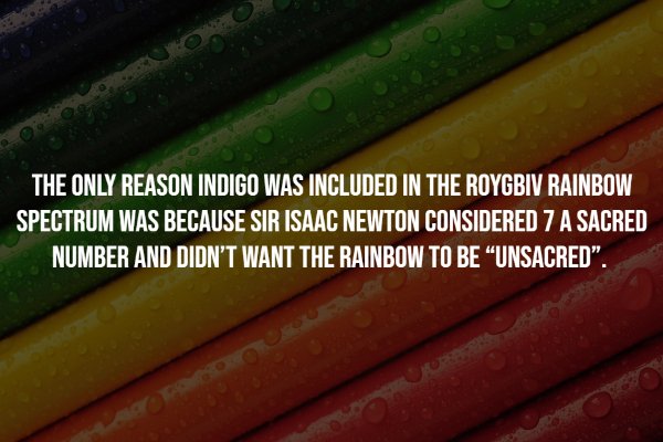 interestingfacts7_003