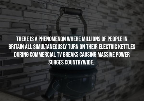 interestingfacts7_004