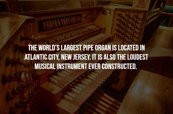 interestingfacts7_006