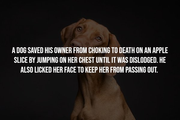 interestingfacts7_009