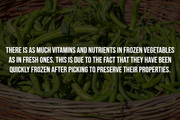 interestingfacts7_012