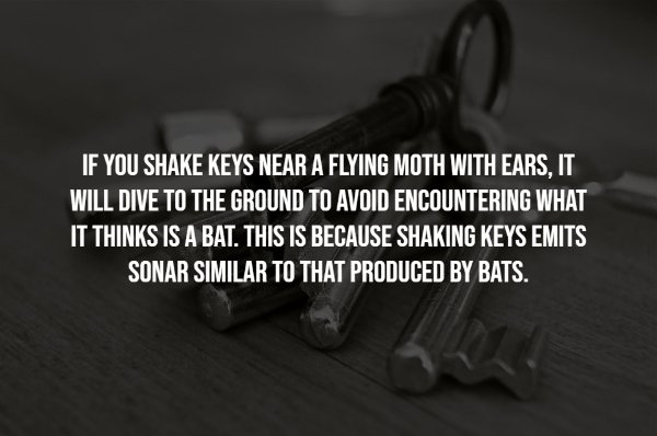 interestingfacts7_016