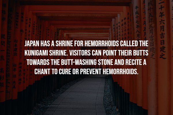 interestingfacts8_006