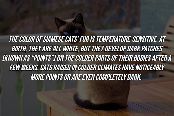 interestingfacts8_008