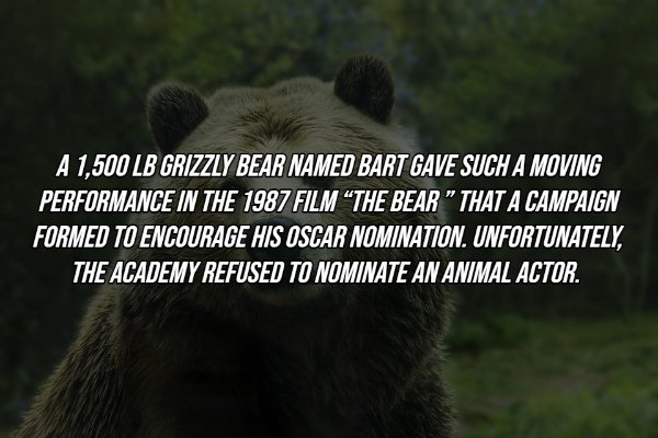 interestingfacts8_011