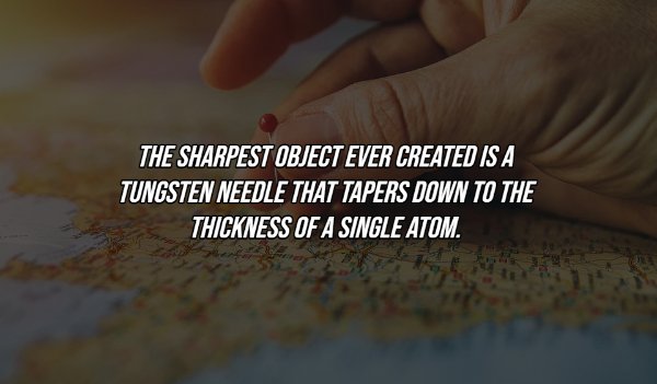 interestingfacts8_016
