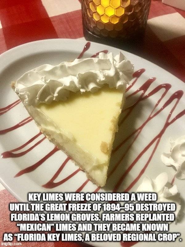 interestingfacts8_025