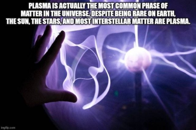 interestingfacts8_026