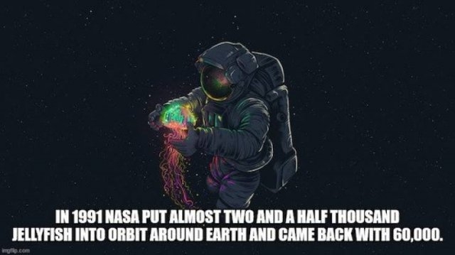 interestingfacts8_029