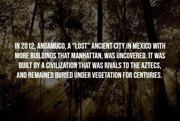 interestingfacts9_008