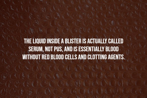 interestingfacts9_012