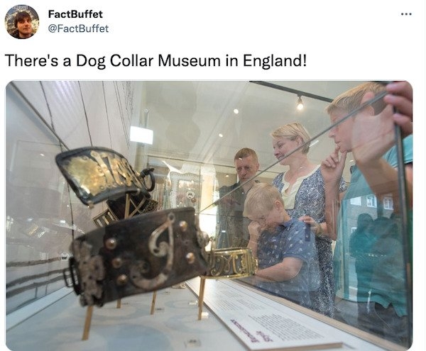 interestingfacts9_030