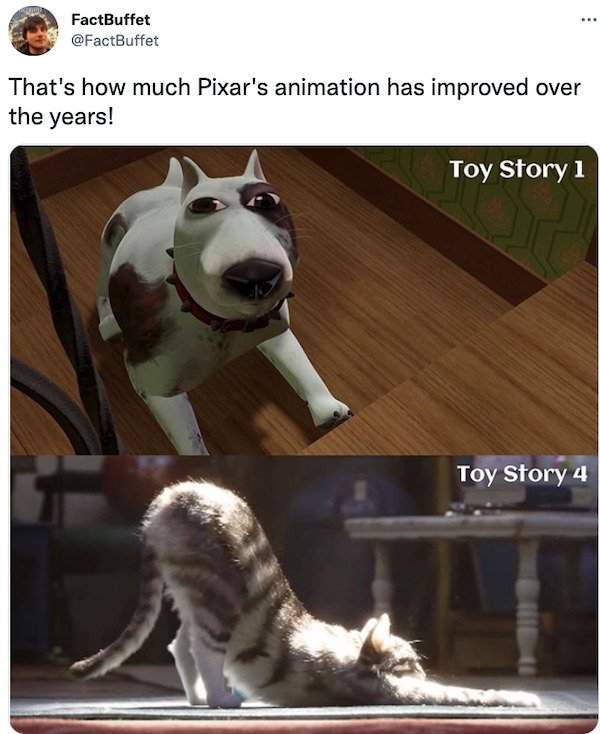 interestingfacts9_037