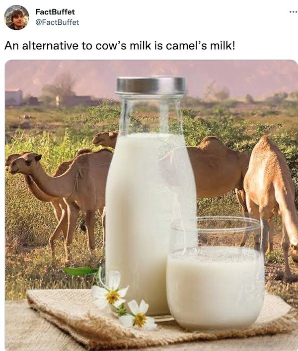 interestingfacts9_038