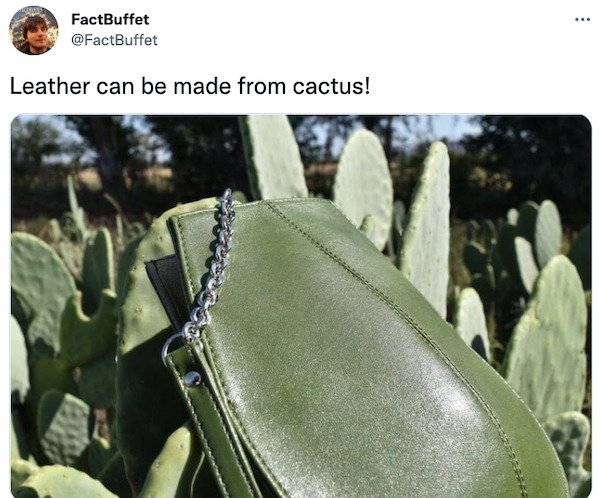 interestingfacts9_042