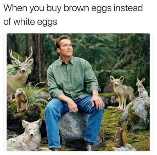 middleclassmemes_021