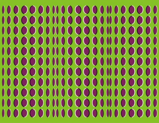 opticalillusions_008