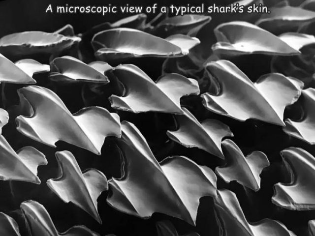 randompics347_066