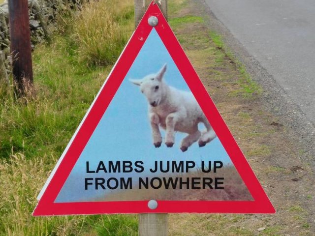 randompics352_070
