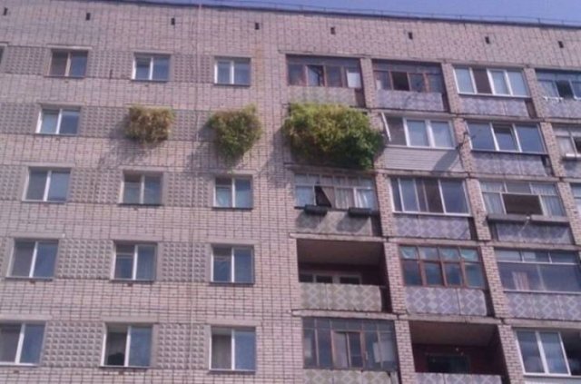 randompics365_034