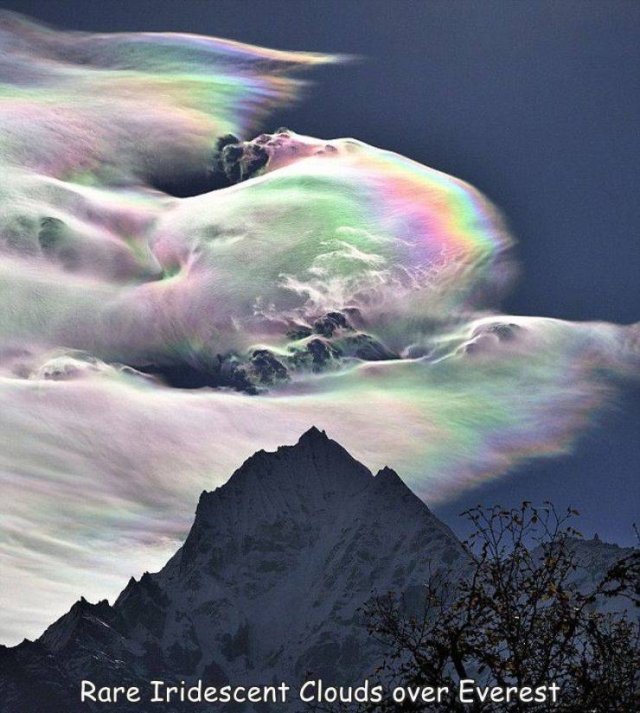randompics367_070