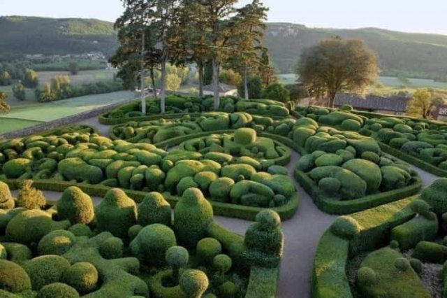randompics370_066