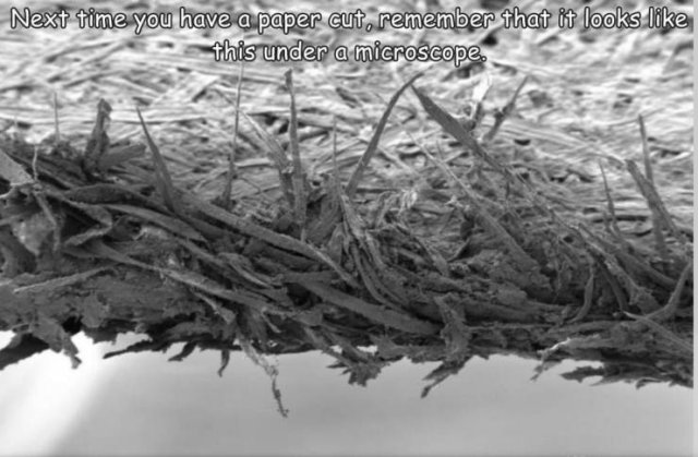 randompics388_065