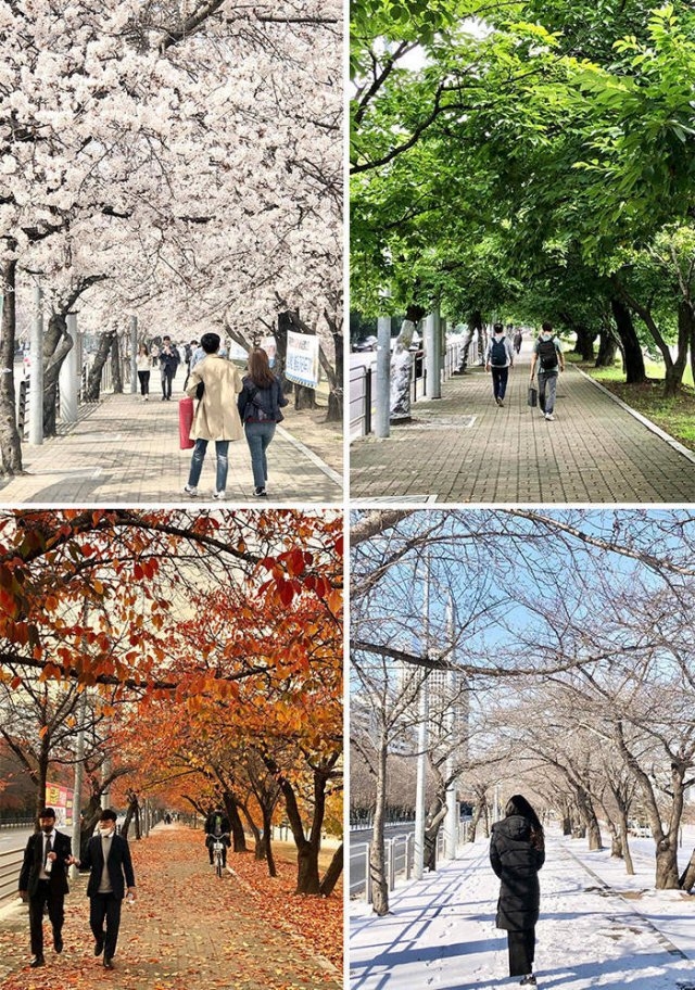 southkorea_051