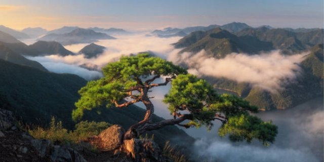 southkorea_055