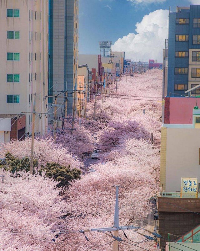 southkorea_066