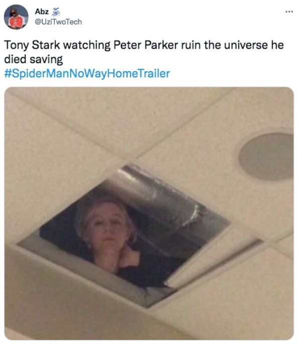 spidermantrailermemes_012