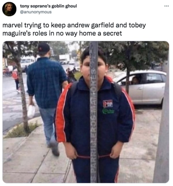 spidermantrailermemes_022