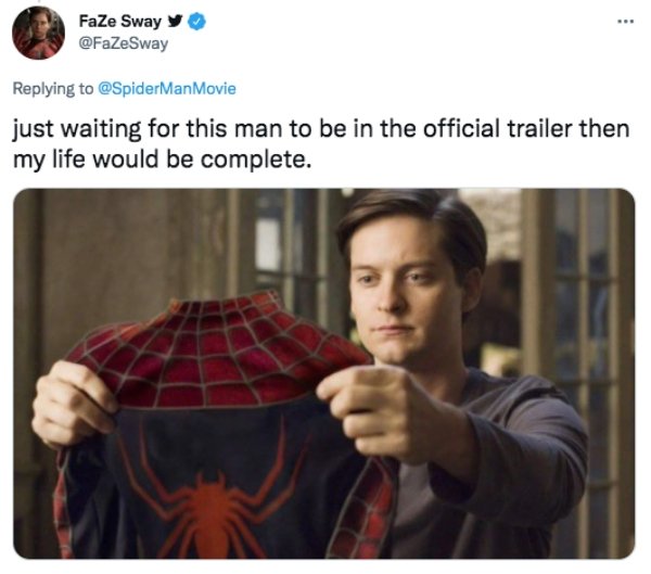 spidermantrailermemes_024