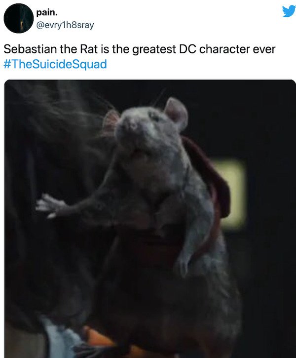 suicidesquadmemes_007