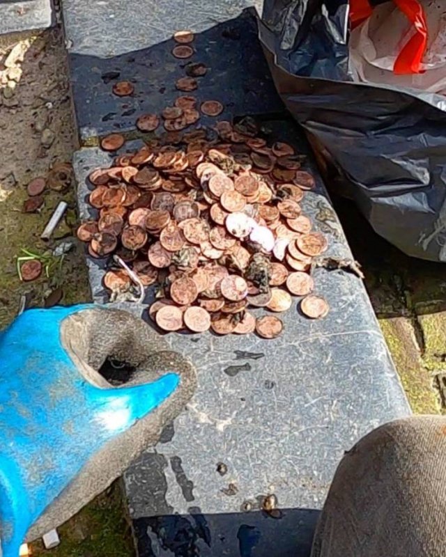 treasurehunterleewebber_021