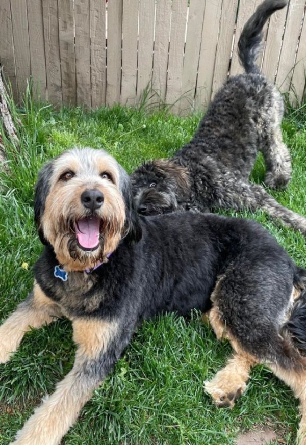 twotypesofpeople_001