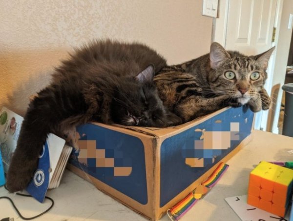 twotypesofpeople_004