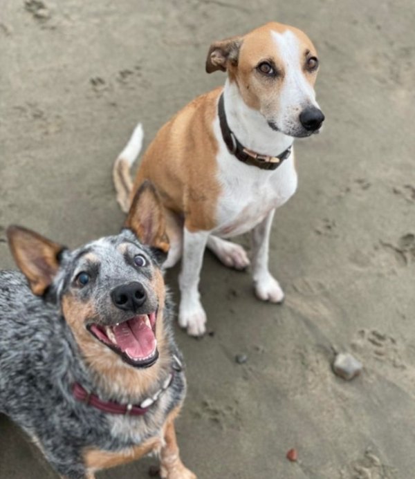 twotypesofpeople_011