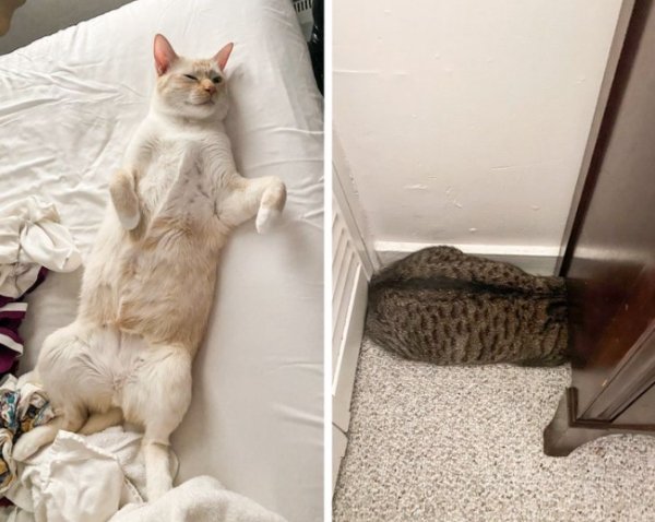 twotypesofpeople_014