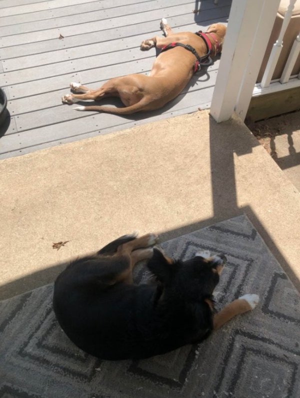 twotypesofpeople_018