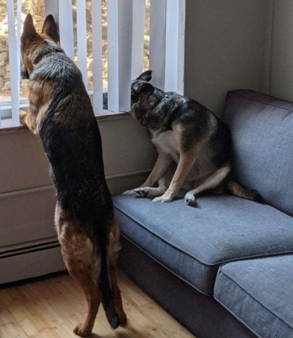 twotypesofpeople_019